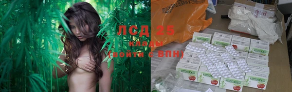 прущие крисы Армянск