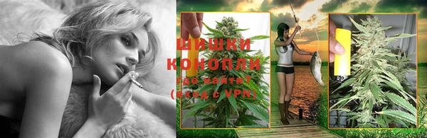 соль ск Арсеньев