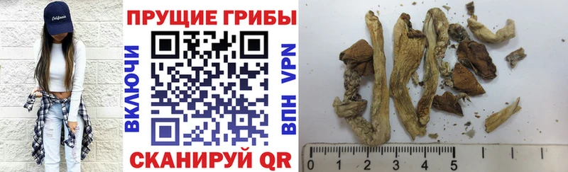 Галлюциногенные грибы прущие грибы Унеча