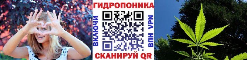 Бошки марихуана OG Kush  МЕГА сайт  Унеча 